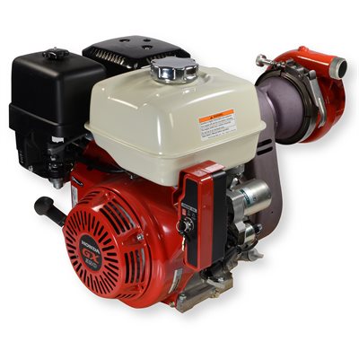 WICK XP2 13 No Frame